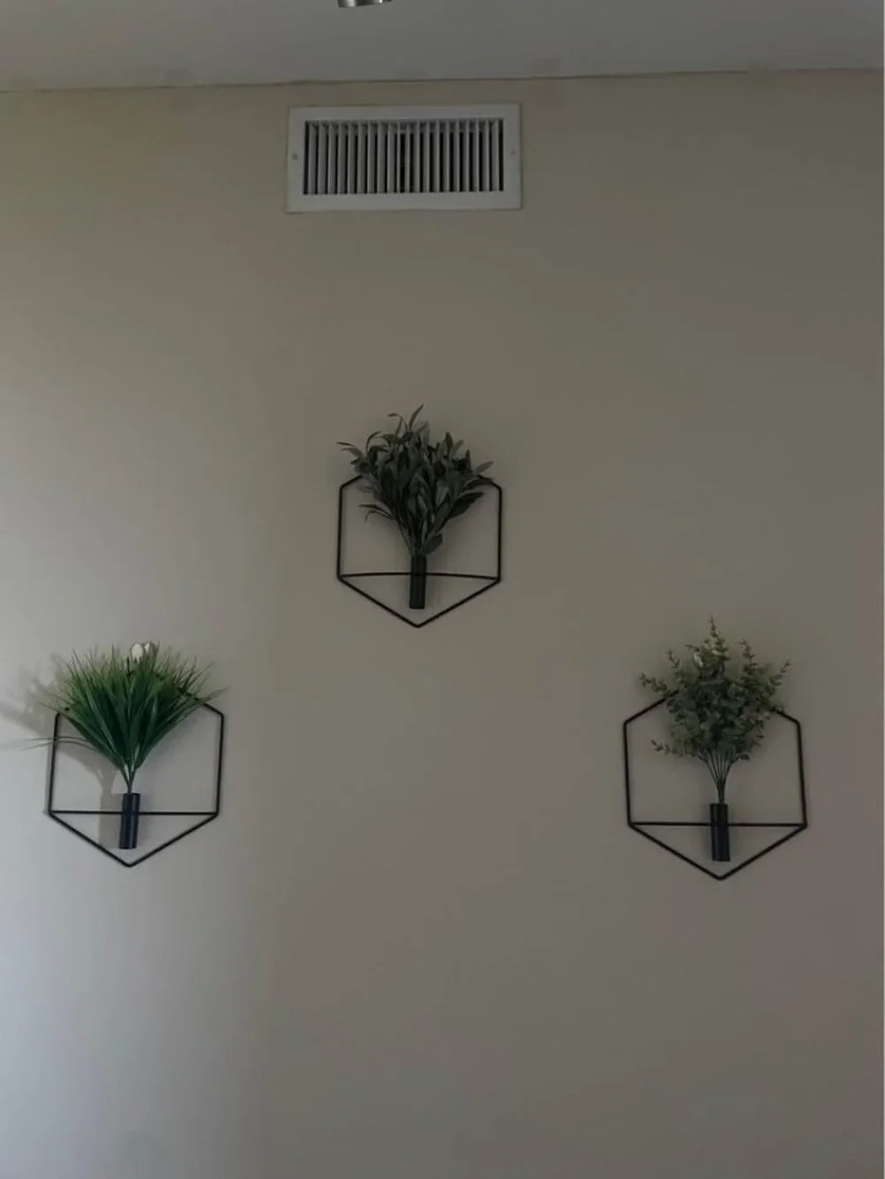 Boho Living Room Honeycomb Plant Wall Art